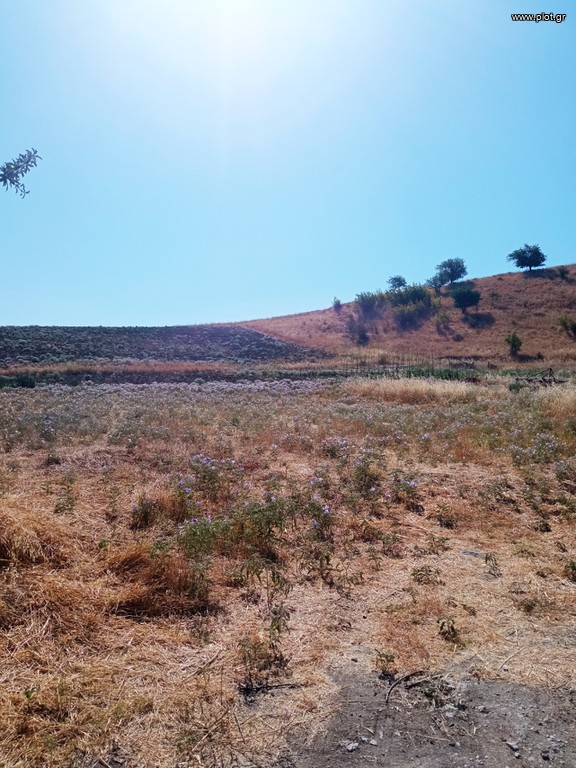 Οικόπεδο 440 τ.μ. πρός πώληση, Θεσσαλονίκη - Περιφ/Κοί Δήμοι, Θέρμη