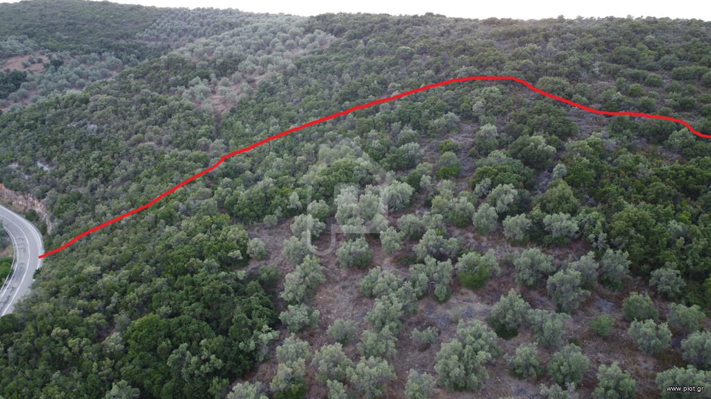 Οικόπεδο 36.000 τ.μ. πρός πώληση, Μαγνησία, Σηπιάδα