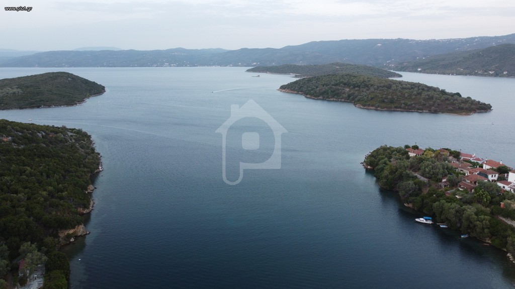 Οικόπεδο 36.000 τ.μ. πρός πώληση, Μαγνησία, Σηπιάδα