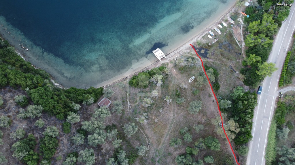 Οικόπεδο 36.000 τ.μ. πρός πώληση, Μαγνησία, Σηπιάδα