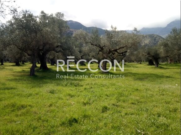 Parcel 7.300 sqm for sale, Lakonia, Mistras