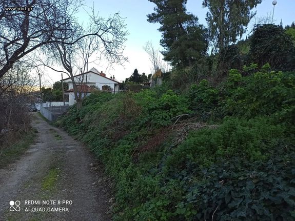 Αγροτεμάχια 216 τ.μ. για πώληση, Φθιώτιδας, Αταλάντη