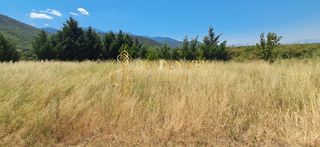 Μονοκατοικία 378 τ.μ. για πώληση, Ν. Καβάλας, Ελευθερούπολη-thumb-7
