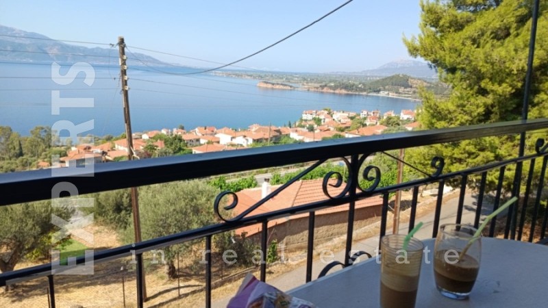 Κτίριο 162 τ.μ. πρός πώληση, Φωκίδα, Ευπάλιο