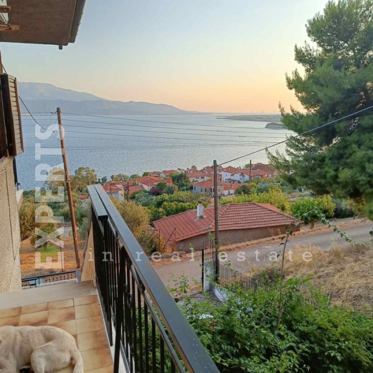 Κτίριο 162 τ.μ. πρός πώληση, Φωκίδα, Ευπάλιο