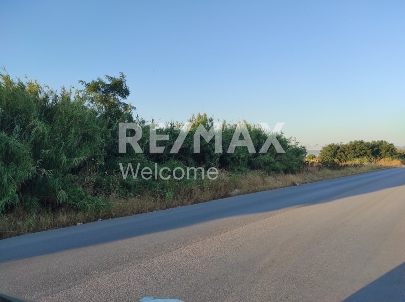 Αγροτεμάχια 18.000 τ.μ. προς ενοικίαση, Θεσσαλονίκη - Περιφ/Κοί Δήμοι, Εχέδωρος
