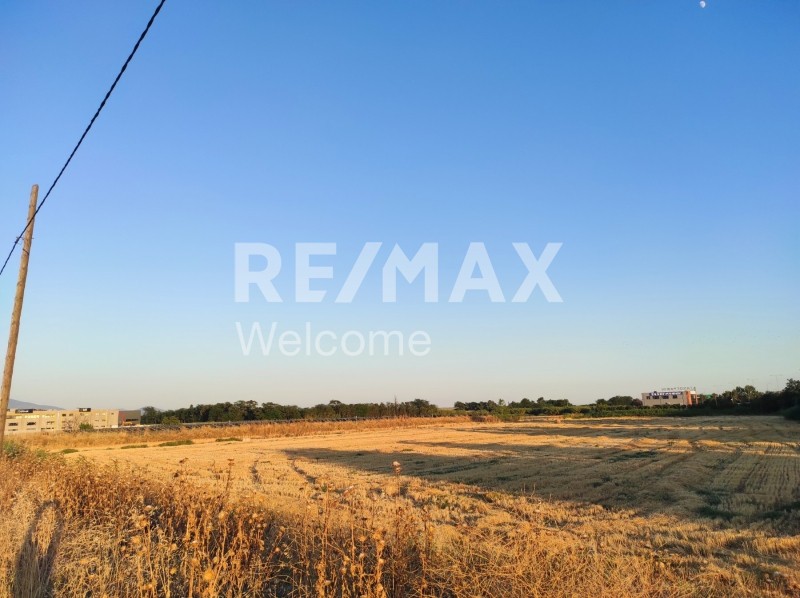 Αγροτεμάχια 18.000 τ.μ. προς ενοικίαση, Θεσσαλονίκη - Περιφ/Κοί Δήμοι, Εχέδωρος