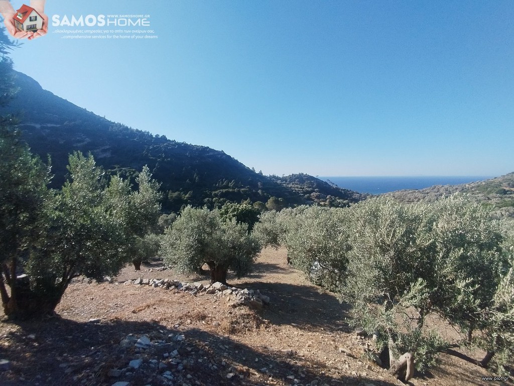 Αγροτεμάχια 4.000 τ.μ. για πώληση, Ν. Σάμου, Σάμος