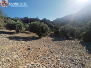Αγροτεμάχια 4.000 τ.μ. για πώληση, Ν. Σάμου, Σάμος-thumb-2
