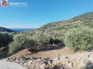 Αγροτεμάχια 4.000 τ.μ. για πώληση, Ν. Σάμου, Σάμος-thumb-4