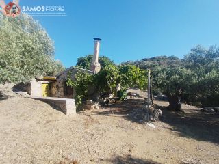 Αγροτεμάχια 4.000 τ.μ. για πώληση, Ν. Σάμου, Σάμος-thumb-7