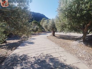 Αγροτεμάχια 4.000 τ.μ. για πώληση, Ν. Σάμου, Σάμος-thumb-13