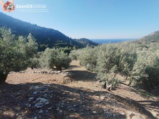 Αγροτεμάχια 4.000 τ.μ. για πώληση, Ν. Σάμου, Σάμος-thumb-20