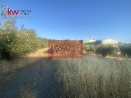 Αγροτεμάχια 5.689τ.μ. για πώληση-Χαλκίδα