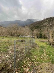 Οικόπεδο 368 τ.μ. για πώληση, Αρκαδία, Βιτίνα-thumb-1