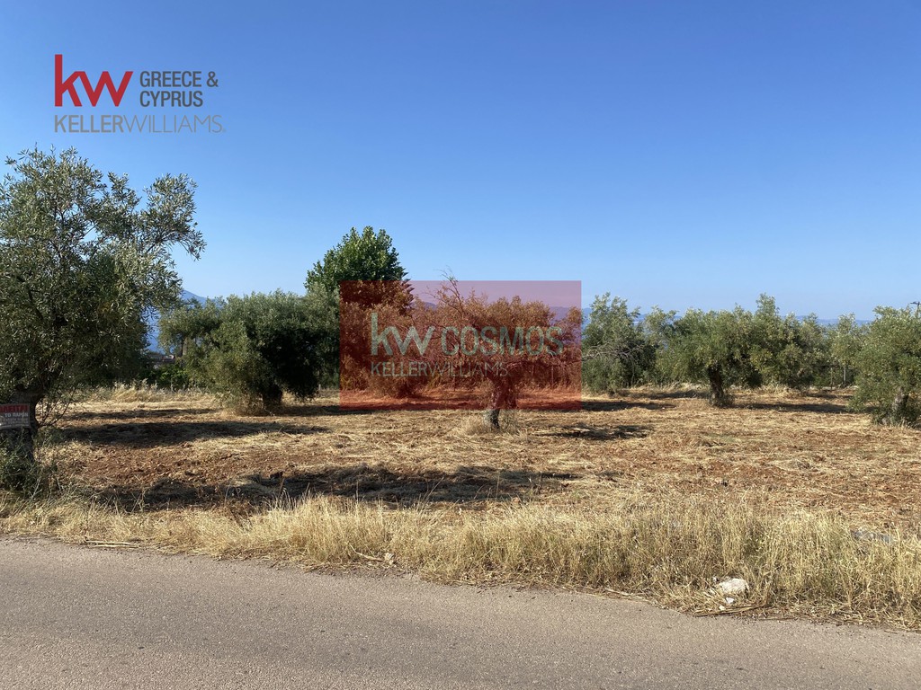Αγροτεμάχια 3.290 τ.μ. προς πώληση, Λουκίσια