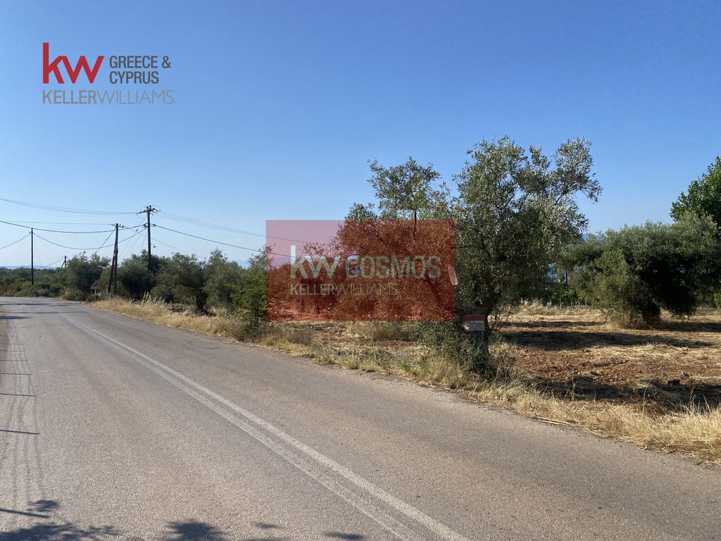 Αγροτεμάχια 3.290 τ.μ. προς πώληση, Λουκίσια