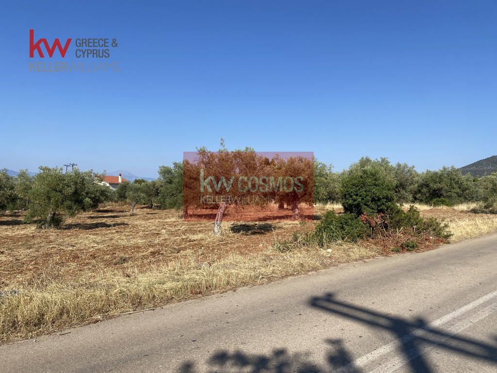 Αγροτεμάχια 3.290 τ.μ. προς πώληση, Λουκίσια