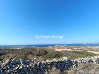 Αγροτεμάχια 6.784 τ.μ. για πώληση