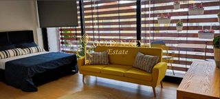 Studio / γκαρσονιέρα 35 τ.μ. προς ενοικίαση, Ποταμούδια-thumb-4