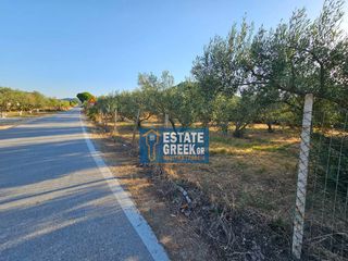 Αγροτεμάχια 800 τ.μ. για πώληση, Ν. Καβάλας, Ελευθερές-thumb-26