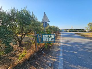 Αγροτεμάχια 800 τ.μ. για πώληση, Ν. Καβάλας, Ελευθερές-thumb-14