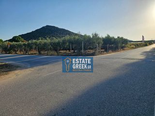 Αγροτεμάχια 800 τ.μ. για πώληση, Ν. Καβάλας, Ελευθερές-thumb-21