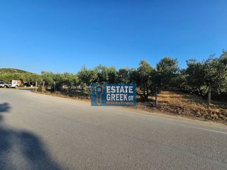 Αγροτεμάχια 800 τ.μ. για πώληση, Ν. Καβάλας, Ελευθερές-thumb-17