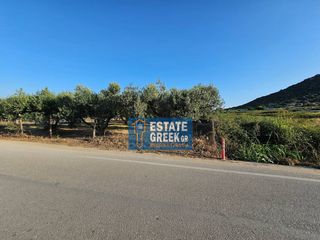 Αγροτεμάχια 800 τ.μ. για πώληση, Ν. Καβάλας, Ελευθερές-thumb-10