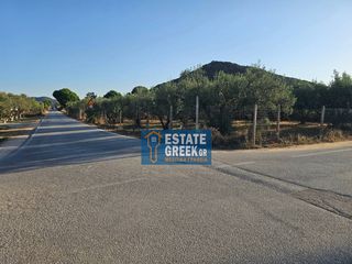 Αγροτεμάχια 800 τ.μ. για πώληση, Ν. Καβάλας, Ελευθερές-thumb-8