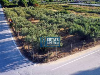 Αγροτεμάχια 800 τ.μ. για πώληση, Ν. Καβάλας, Ελευθερές-thumb-25