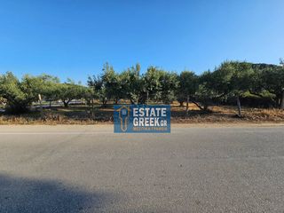 Αγροτεμάχια 800 τ.μ. για πώληση, Ν. Καβάλας, Ελευθερές-thumb-22