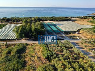 Αγροτεμάχια 800 τ.μ. για πώληση, Ν. Καβάλας, Ελευθερές-thumb-6