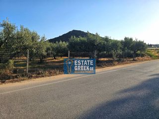 Αγροτεμάχια 800 τ.μ. για πώληση, Ν. Καβάλας, Ελευθερές-thumb-9
