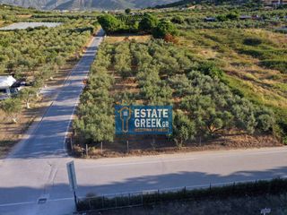 Αγροτεμάχια 800 τ.μ. για πώληση, Ν. Καβάλας, Ελευθερές-thumb-16