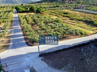 Αγροτεμάχια 800 τ.μ. για πώληση, Ν. Καβάλας, Ελευθερές-thumb-15