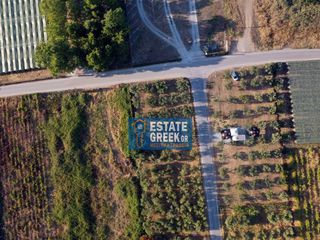 Αγροτεμάχια 800 τ.μ. για πώληση, Ν. Καβάλας, Ελευθερές-thumb-24