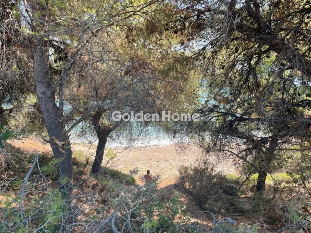 Αγροτεμάχια 93.995 τ.μ. προς πώληση, Μεταμόρφωση Ορμύλιας