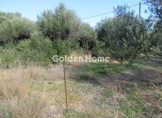 Αγροτεμάχια 4.407 τ.μ. για πώληση