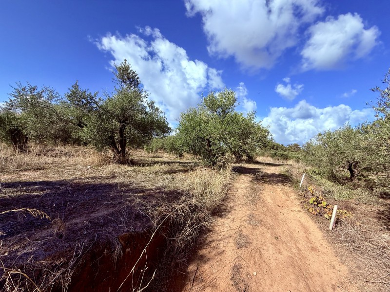Οικόπεδο 3.379 τ.μ. προς πώληση, Μάλεμε