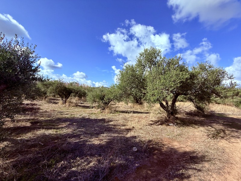 Οικόπεδο 3.379 τ.μ. προς πώληση, Μάλεμε