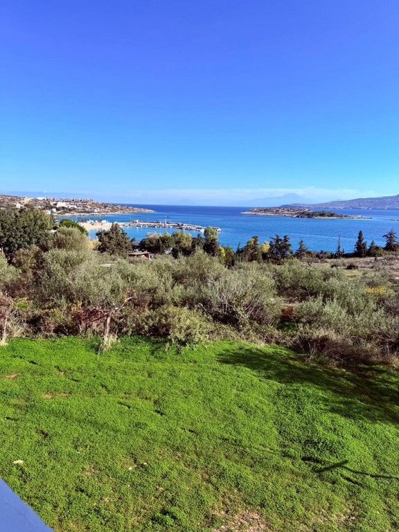 Ξενοδοχείο 269,13 τ.μ. προς πώληση, Μαράθι Ακρωτηρίου