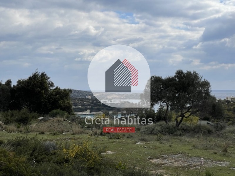 Οικόπεδο 6.350 τ.μ. προς πώληση, Μαράθι Ακρωτηρίου
