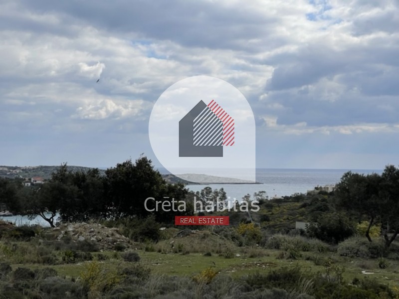 Οικόπεδο 6.350 τ.μ. προς πώληση, Μαράθι Ακρωτηρίου