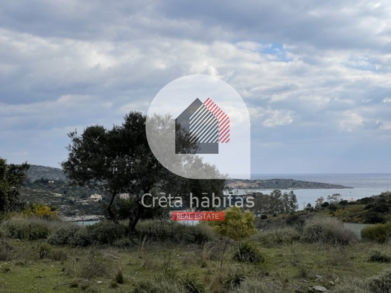 Οικόπεδο 6.350 τ.μ. προς πώληση, Μαράθι Ακρωτηρίου