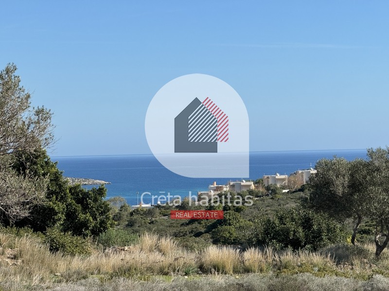 Οικόπεδο 6.350 τ.μ. προς πώληση, Μαράθι Ακρωτηρίου