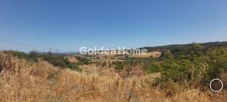 Αγροτεμάχια 6.375 τ.μ. για πώληση