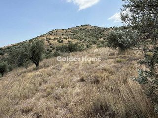 Οικόπεδο 21.068 τ.μ. για πώληση