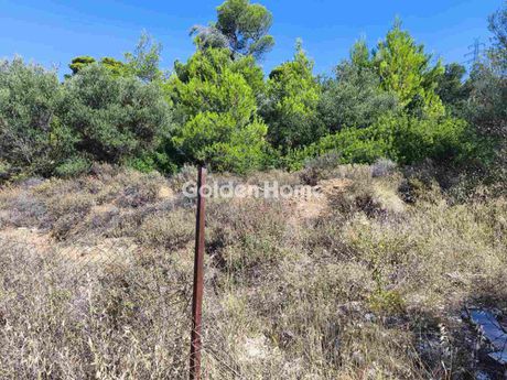 Οικόπεδο 703 τ.μ. για πώληση