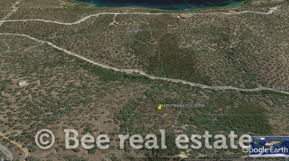 Αγροτεμάχια 5.130 τ.μ. πρός πώληση, Μαγνησία, Πτελεός